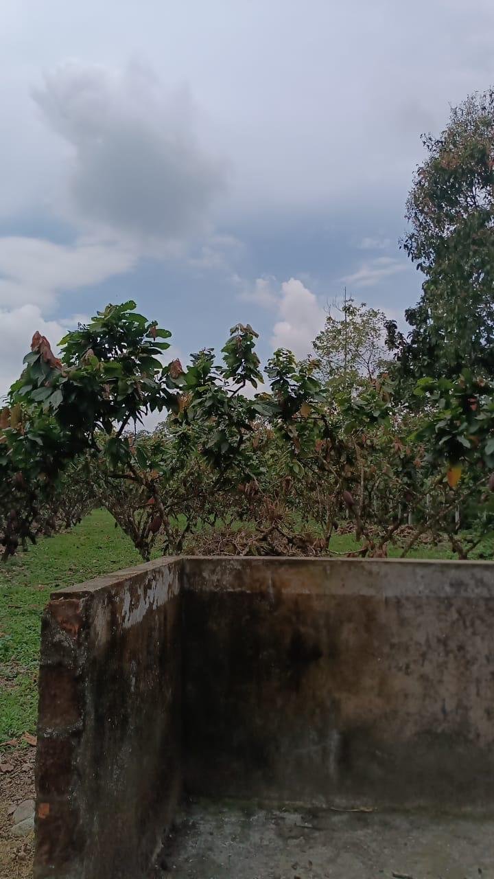 Finca Los Mera - Imagen 3